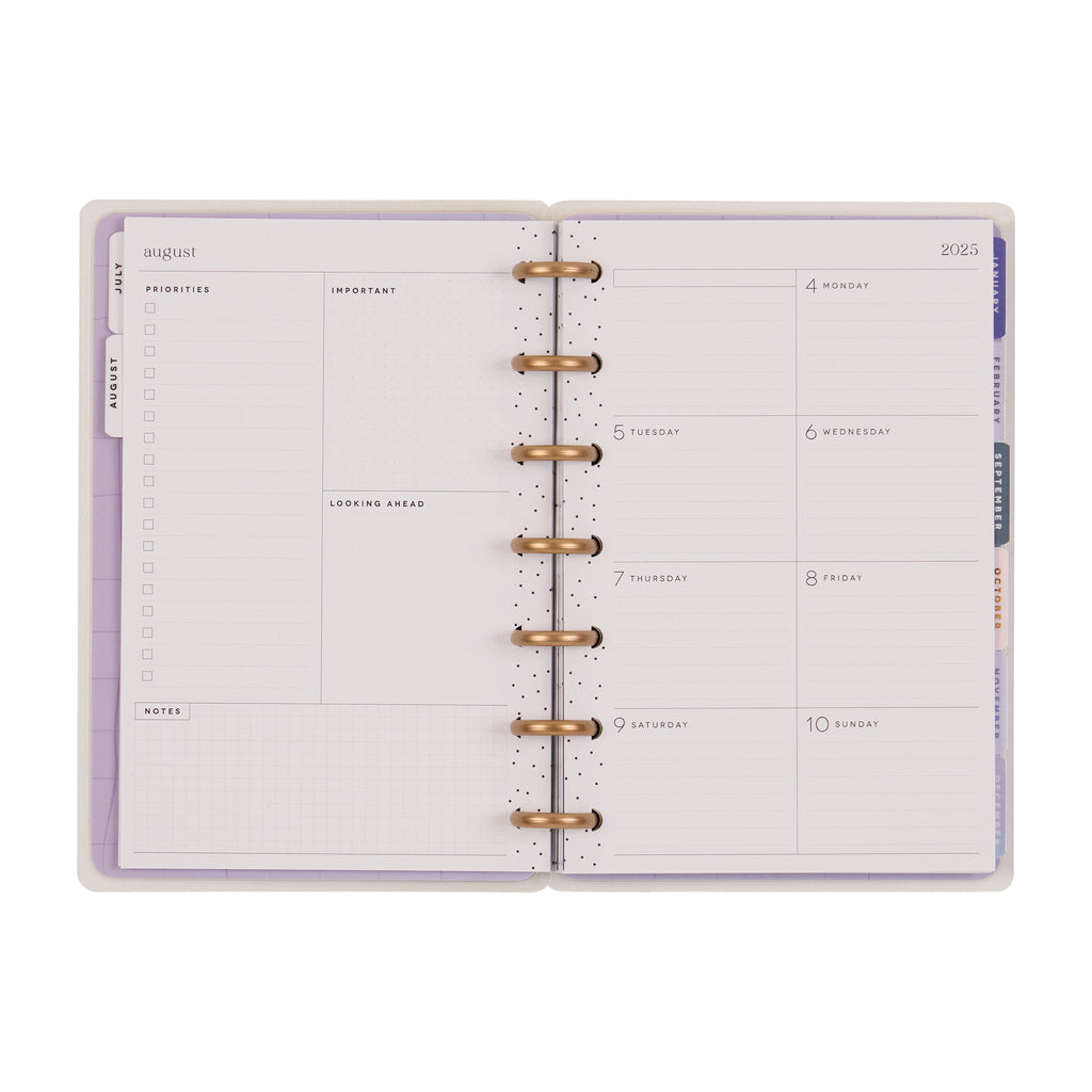 Serene Shapes Planner Dashboard Mini 12 Meses