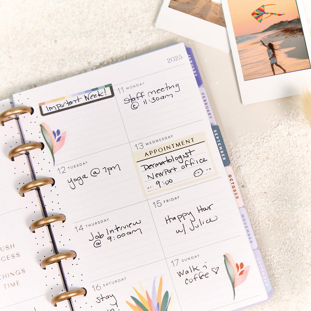 Serene Shapes Planner Dashboard Mini 12 Meses