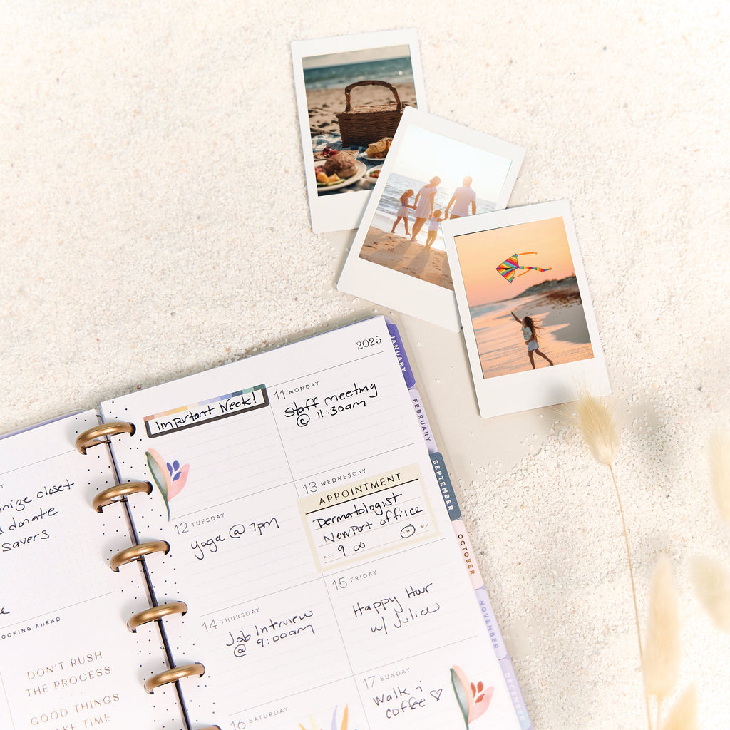 Serene Shapes Planner Dashboard Mini 12 Meses