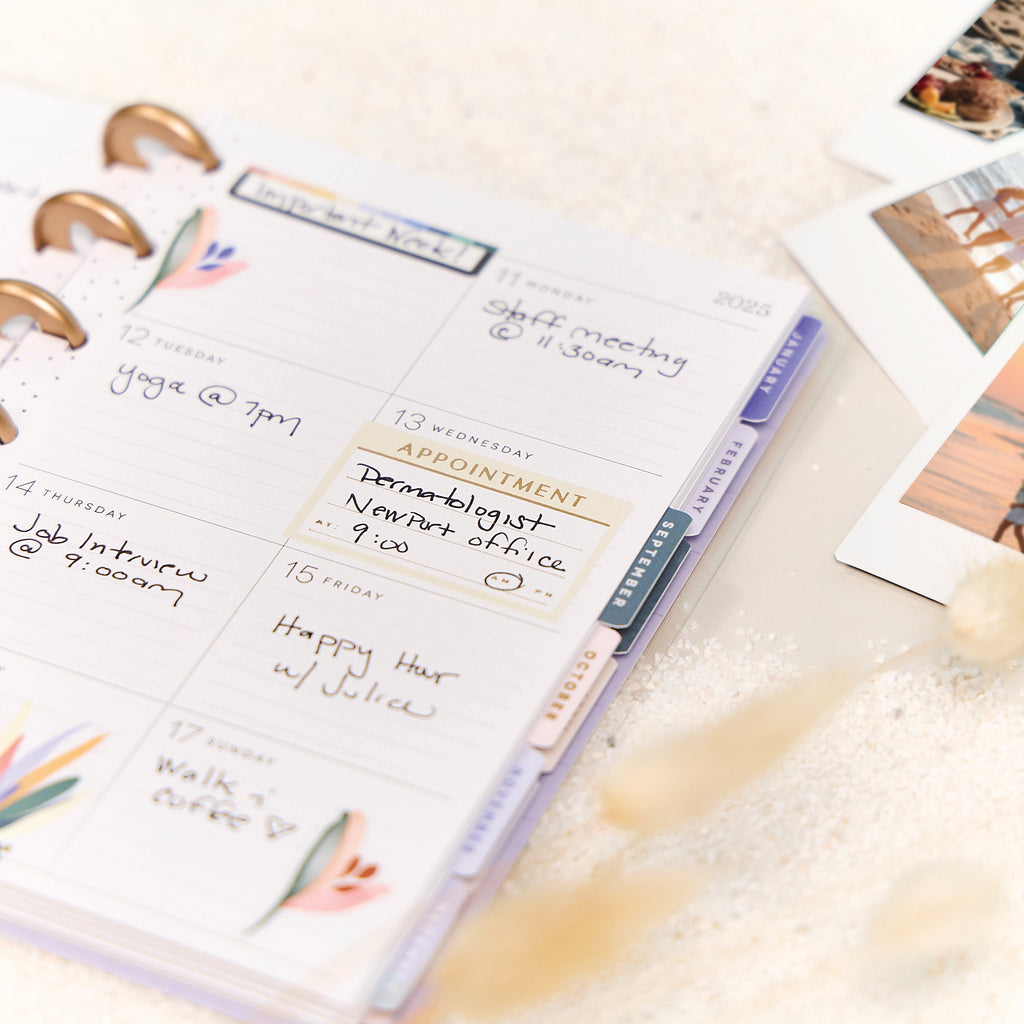 Serene Shapes Planner Dashboard Mini 12 Meses