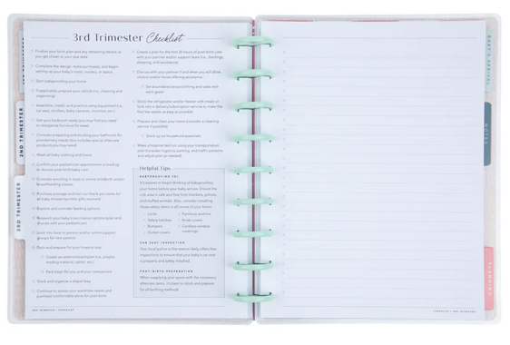 Butterflies and Blooms - Sin Fecha 9 Meses