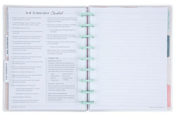 Butterflies and Blooms - Sin Fecha 9 Meses - Bera Papier