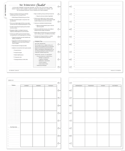 Butterflies and Blooms - Sin Fecha 9 Meses - Bera Papier